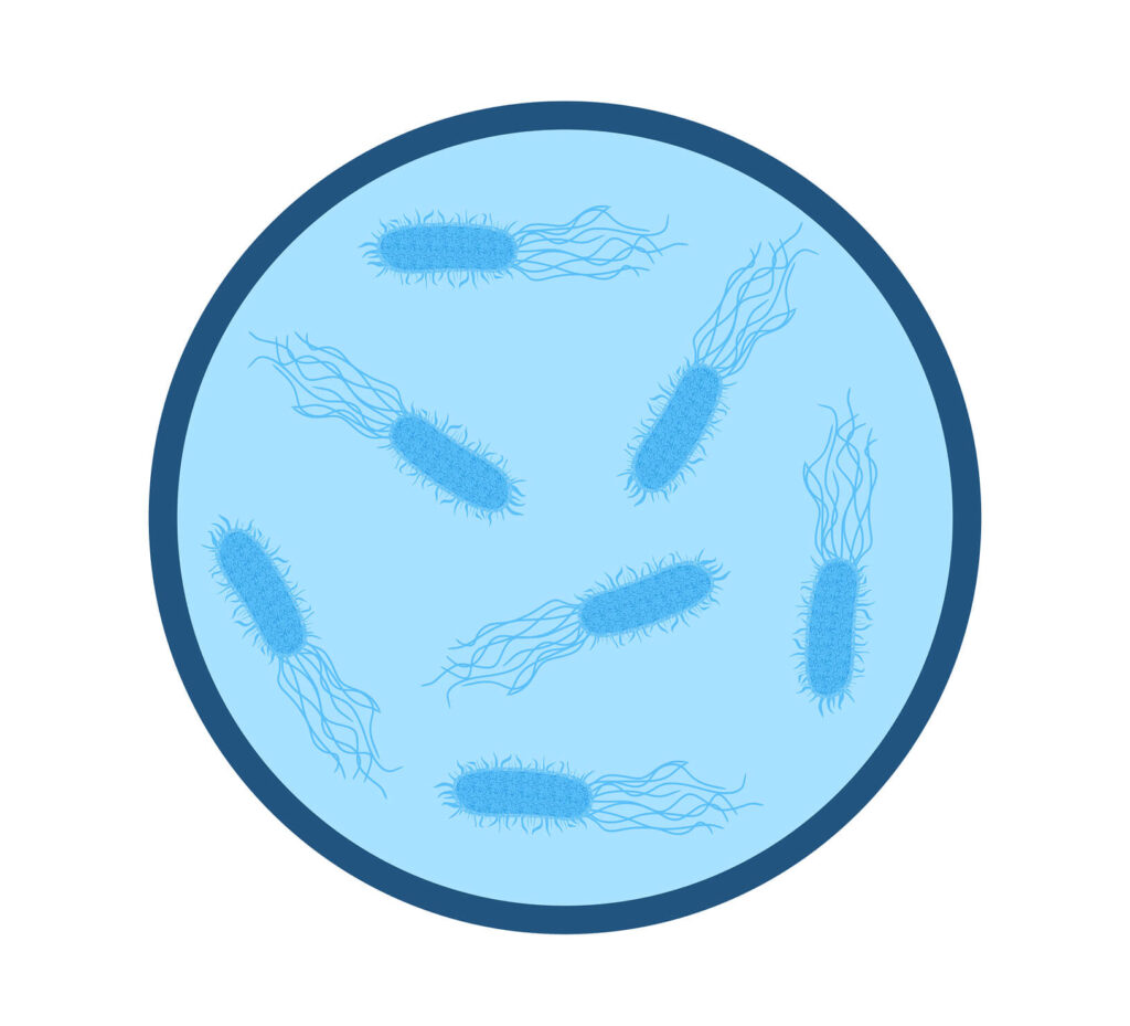 Illustratie van bacteriën in drinkwater